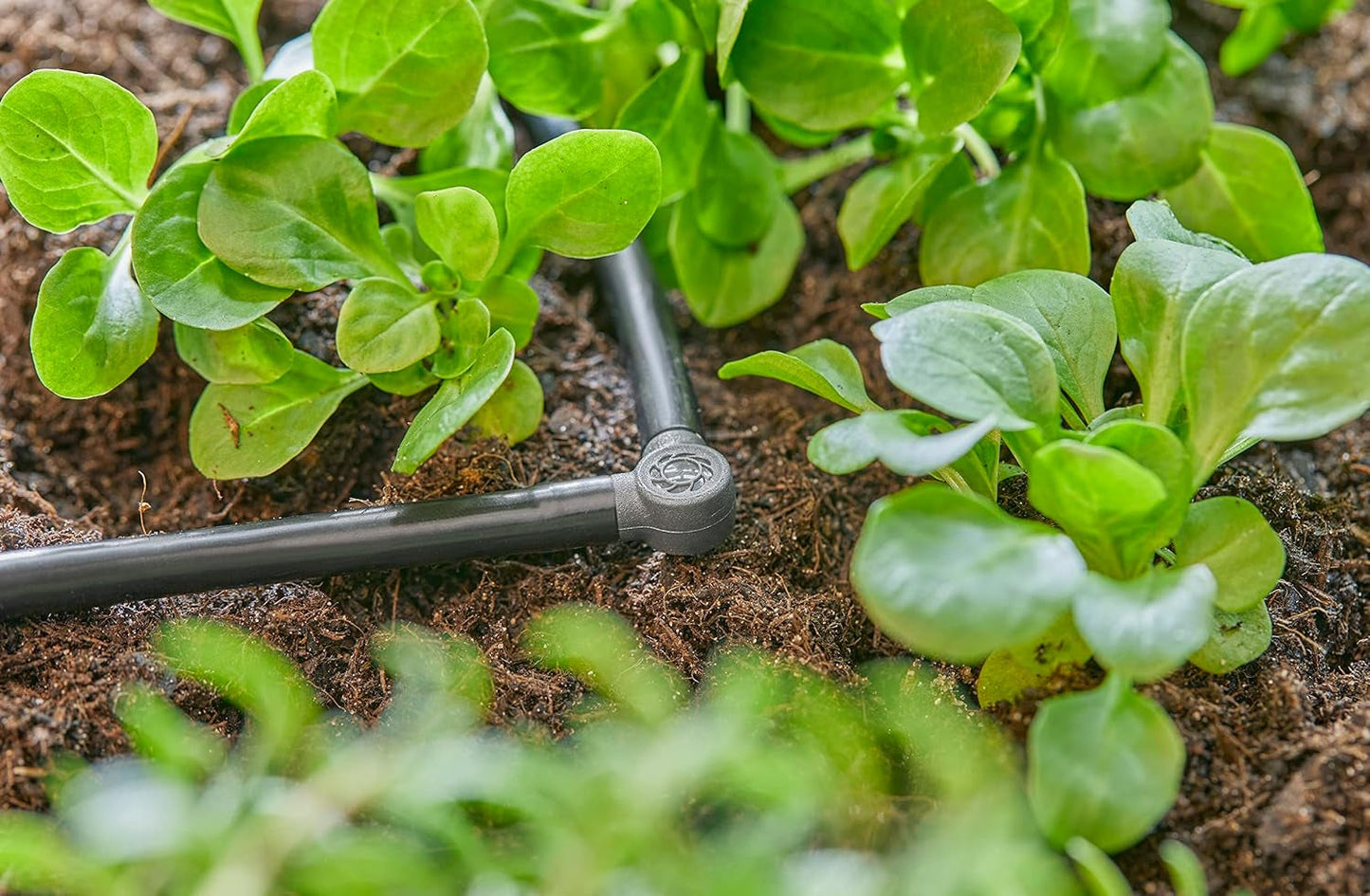 L-stykke til Gardena Micro-Drip 4,6 mm (3/16 tomme): Til ændring af distributionsretning og dryplinjer med 90 grader, knækfri installation, nem og fleksibel tilslutningsteknologi (13212-20)