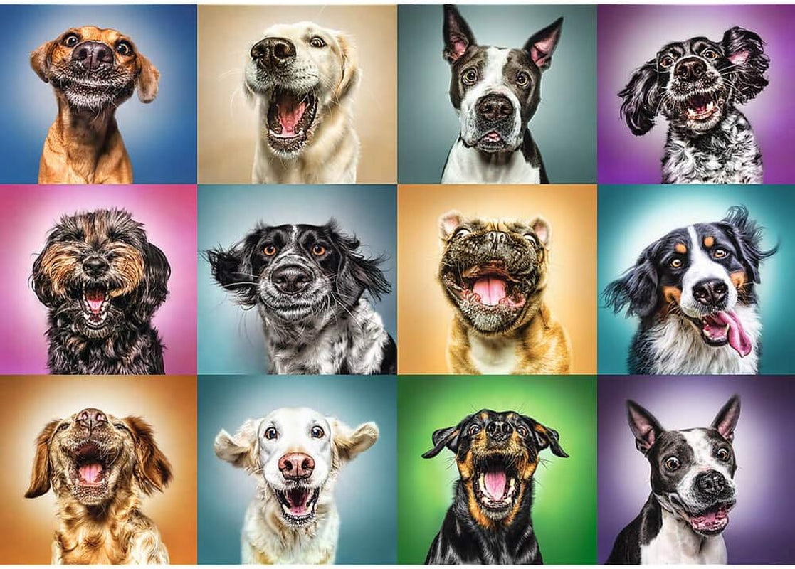 Jigsaw Puzzle - "1000" - Sjove hundeportrætter Puzzle Naty Shop