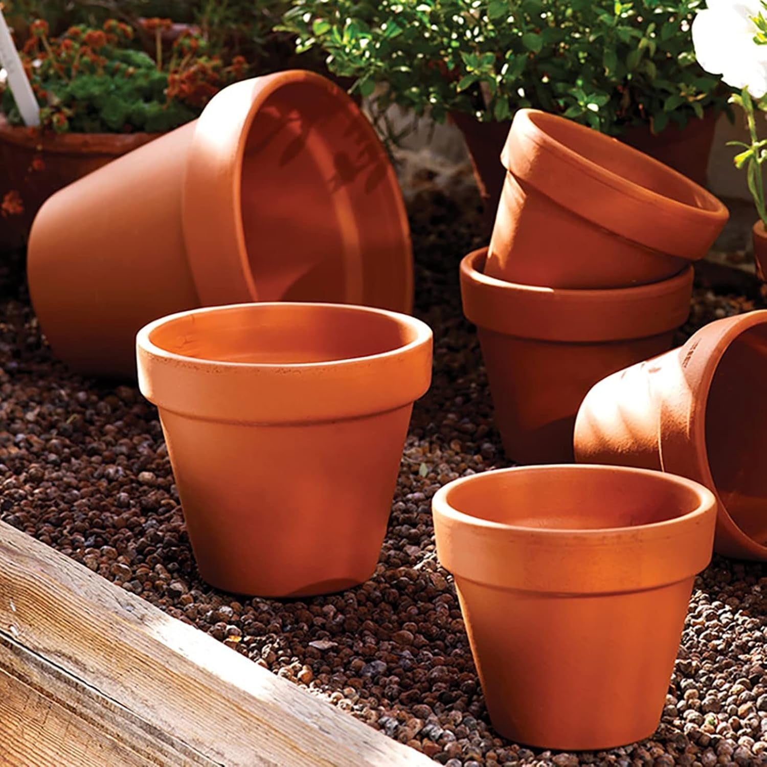 Hollyone 8-delt lille terrakotta-plantekassesæt, 8x8 cm runde lerpotter med tallerken og drænhul, små plantekasser med bakke, terrakotta-sukkulentpotter til indendørs planter, keramiske plantekasser