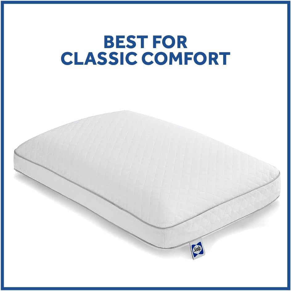 Sealy Essentials Memory Foam Pillow Standard White 2 Piece Naty Shop Standard Puder