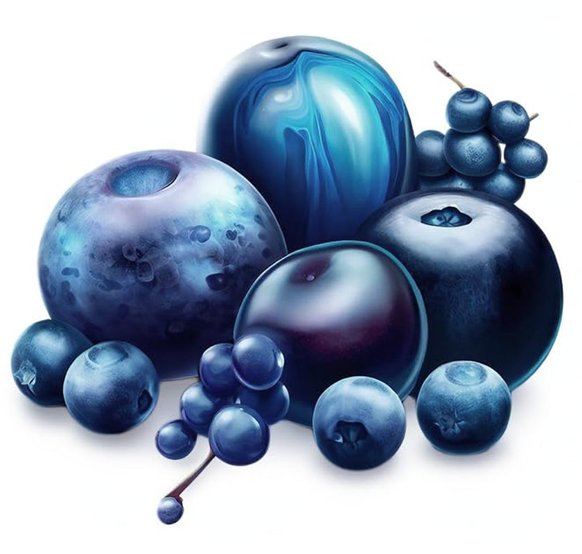Madfarvepulver naturlig farve Fruity Line BLUEBERRY 20G naturligt farvepulver til cremer glasur svampdej i pulverform madfarve til drinks gelé