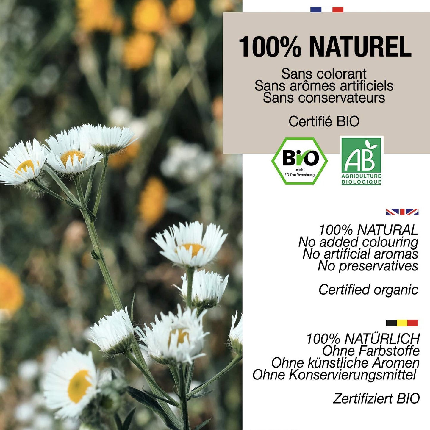 ORIGEENS Økologisk kamilleblomstte fra Europa, 100 g | Løsbladste, økologisk te til søvn og fordøjelse | Tysk kamille | Certificeret og pakket i Tyskland