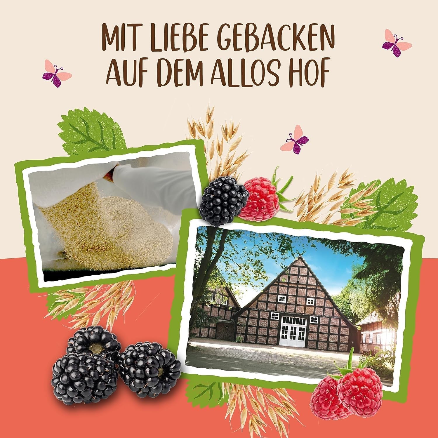 Allos Hof Granola med bær | Økologisk müsli | Müsli med bær | Sprød müsli | Korn til morgenmad | Pakke med 6 (6 x 300 g), 1 stk (pakke med 6)