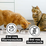 Vådfoder til katte Catz Finefood Purrrr Heste Monoprotein no. 123, til katte med følsom fordøjelse, 70% kødindhold, 6 æsker x 400 g