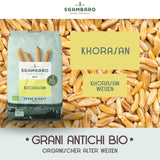 Økologisk Penne Rigate Pasta N.91 - 500g fra Khorasan Wheat - Antik hvede, rig på protein, 100% dyrket i Italien - Alsidig i køkkenet og rig på næringsstoffer