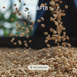 Incapto Spezialitäten-Kaffeebohnen | Single-oprindelse colombiansk | Espresso 100% Arabica | Specialkaffe 84 Points SCA | Traditionel Geröstete Bohnenkaffee | Plantage Huila, Cadefihuila, 1 kg
