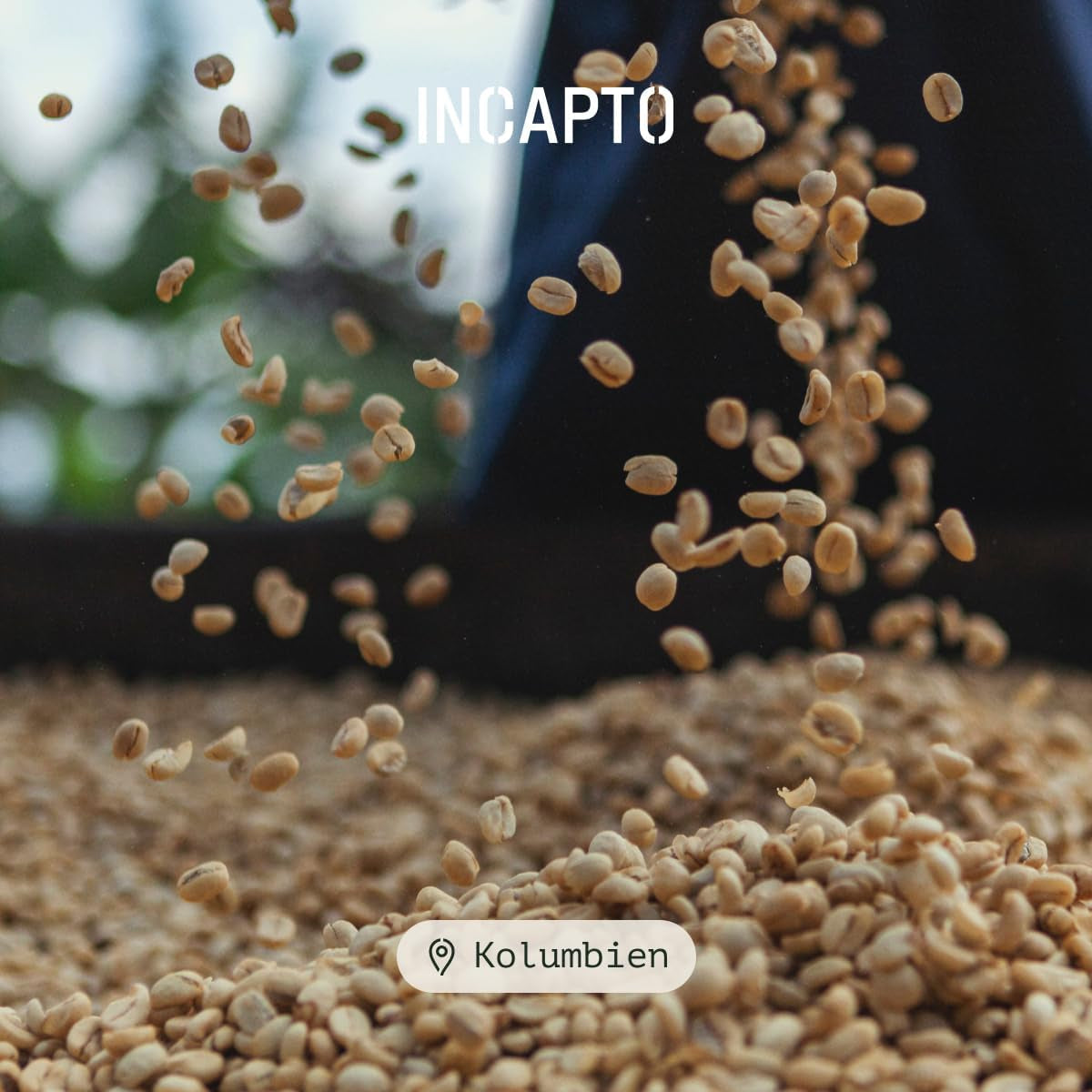 Incapto Spezialitäten-Kaffeebohnen | Single-oprindelse colombiansk | Espresso 100% Arabica | Specialkaffe 84 Points SCA | Traditionel Geröstete Bohnenkaffee | Plantage Huila, Cadefihuila, 1 kg