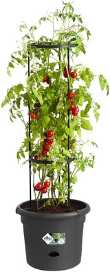 elho Green Basics Tomatpotter 33 - Urtepotter til udendørs dyrkning og høst - Ø 33,5 x H 26,0 cm - Sort/Vivid sort