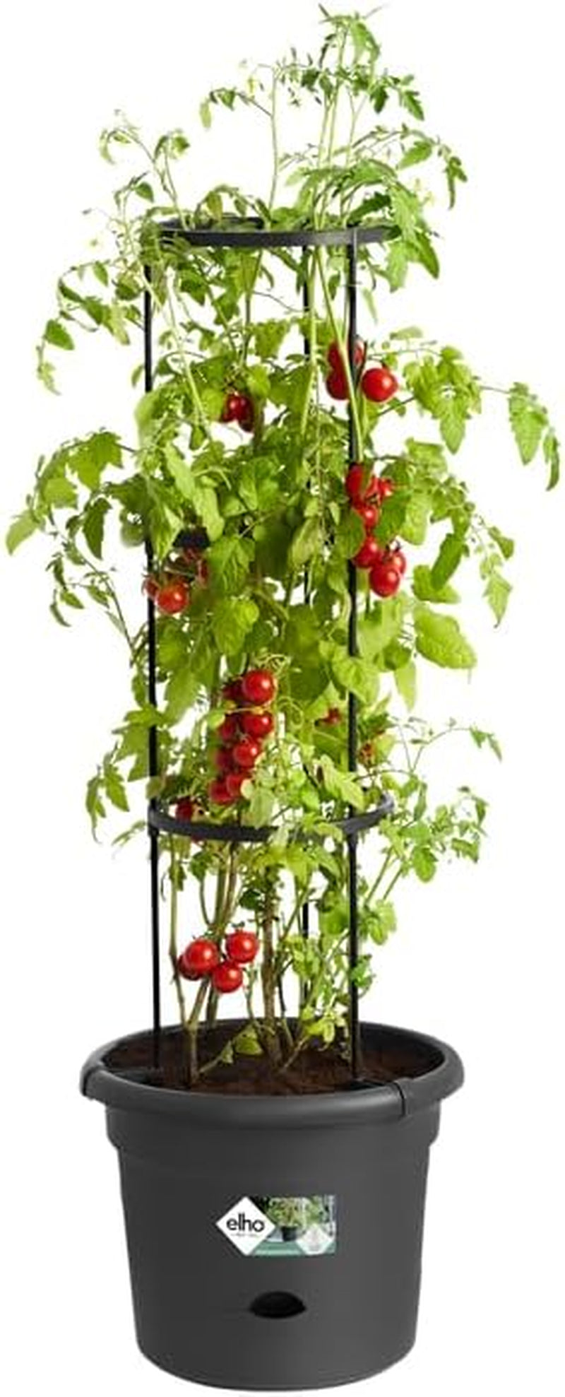 elho Green Basics Tomatpotter 33 - Urtepotter til udendørs dyrkning og høst - Ø 33,5 x H 26,0 cm - Sort/Vivid sort