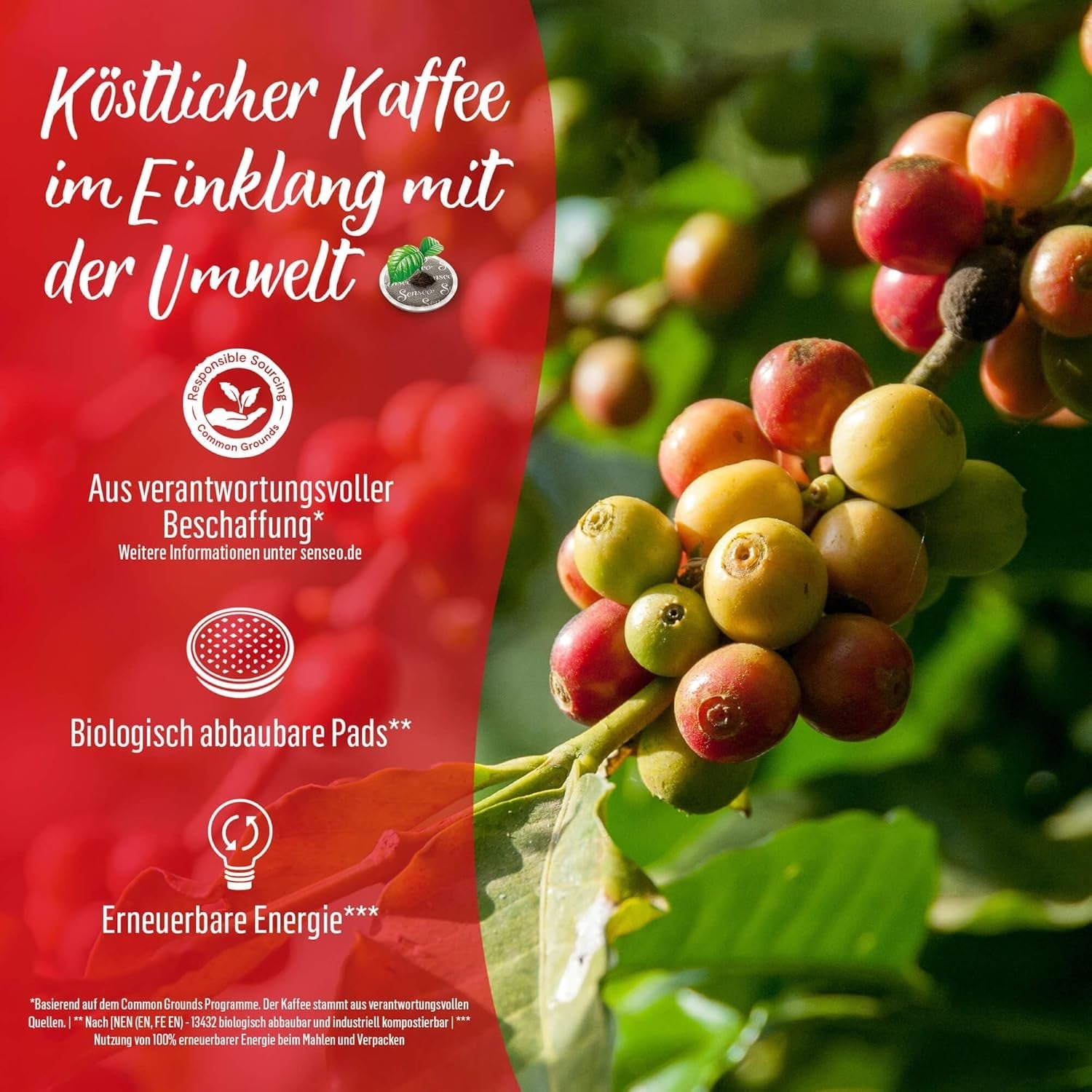 Senseo Pads Decaf Entkoffeiniert, 5 x 16 Getränke, 80 Kaffeepads