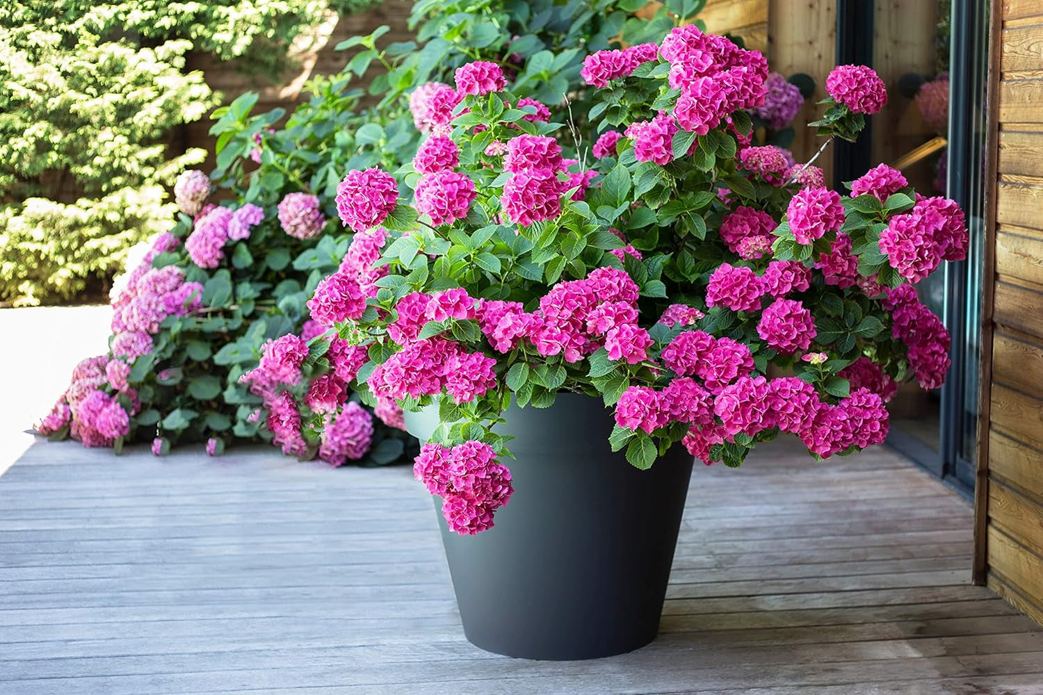 PLAST? Plastic urtepotte, 76L, levende farver, Zen, B 60 cm x H 47 cm