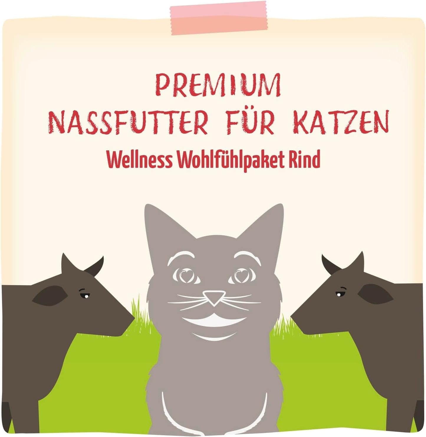 MjAMjAM - Premium våd kattefoder - Wellness-pakke oksekød, pakke med 12 (12 x 125 g), kornfri med ekstra kød