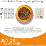IAMS Delights Kitten Nassfutter - Multipack Katzenfutter mit Hunn i sauce, højkvalitets Futter for Junior Kätzchen af ​​1-12 Monate, 12 x 85 g