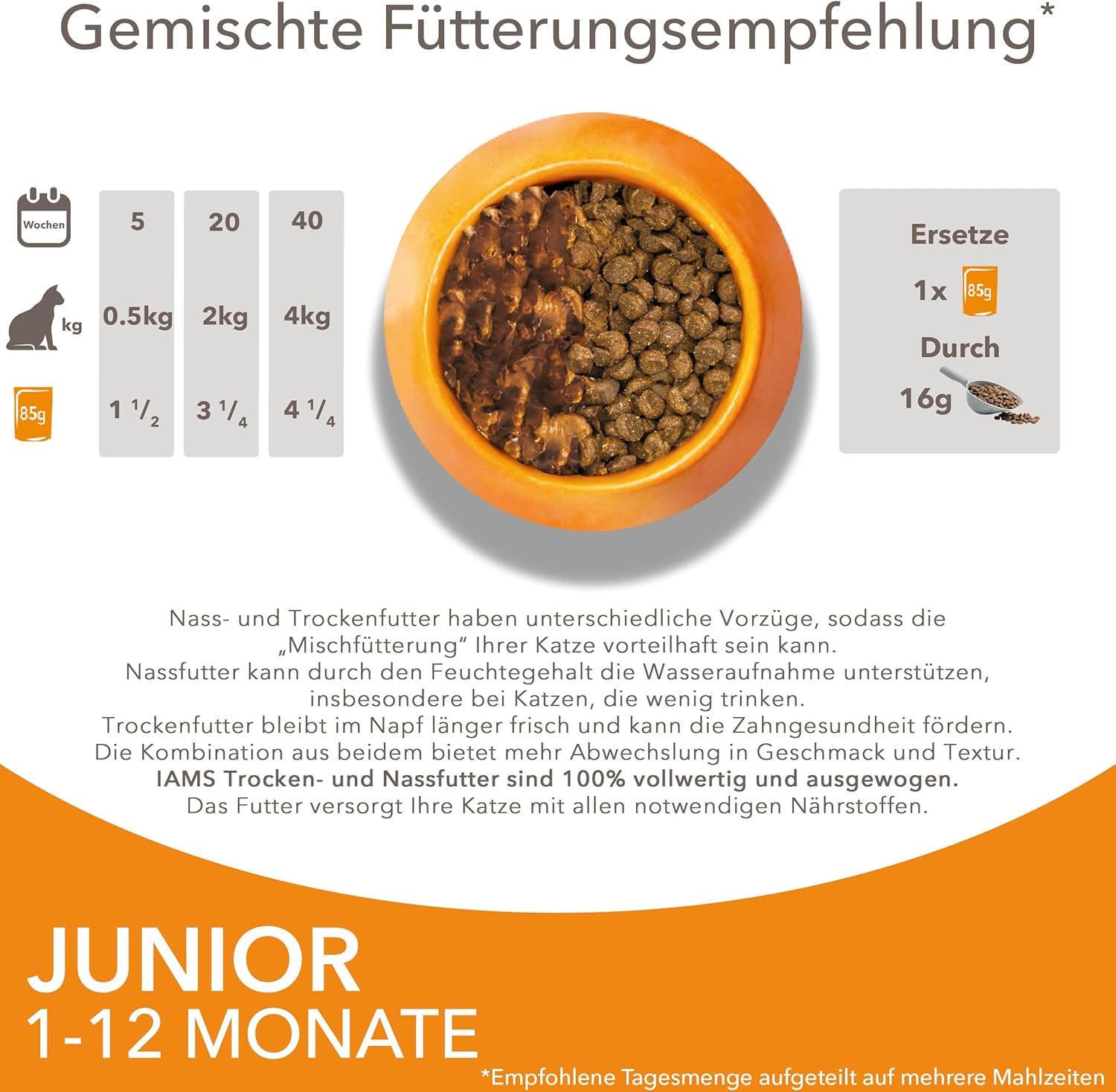 IAMS Delights Kitten Nassfutter - Multipack Katzenfutter mit Hunn i sauce, højkvalitets Futter for Junior Kätzchen af ​​1-12 Monate, 12 x 85 g