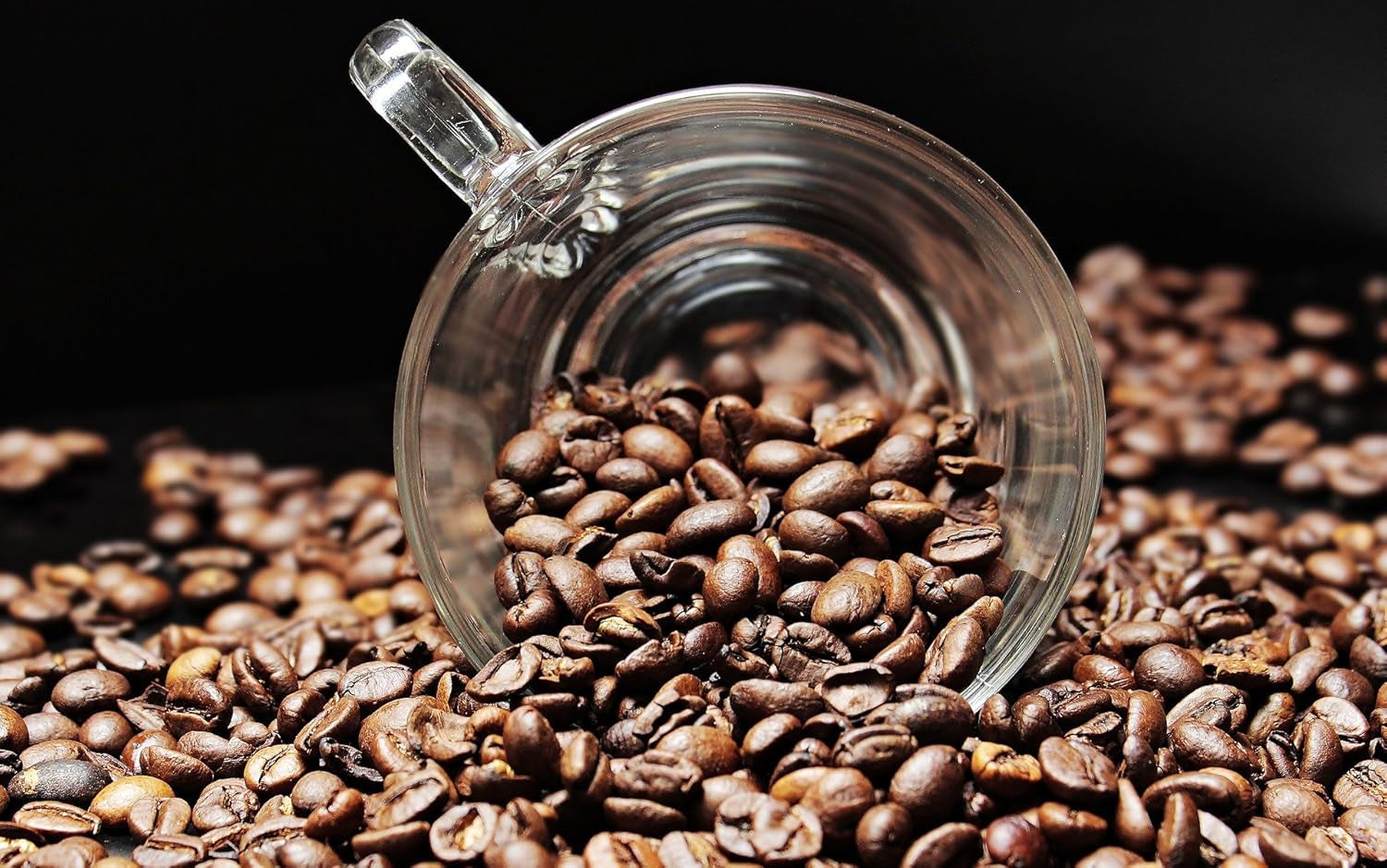 Speciel kaffe fra Sydamerika - Galapagos, øernes unikke økosystem (1000 gram, hele bønner) - enkelt oprindelseskaffe - premium kaffe - lav surhedsgrad - let ristet og frisk