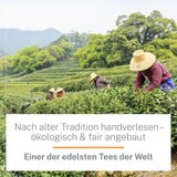 Ti Guan Yin Bio Oolong Tea 100g - Økologisk Oolong te af høj kvalitet fra Kina - Wu Long (ceremoniel kvalitet) - Til teelskere og kendere - Mycupoftea