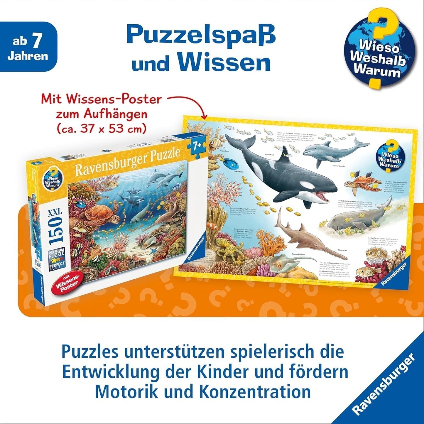 Ravensburger børnepuslespil 13411 - Havdyr på koralrevet - Hvorfor? Hvorfor? Hvorfor? Puslespil 150 brikker XXL + vidensplakat, til børn fra 7 år Puslespil Naty Shop