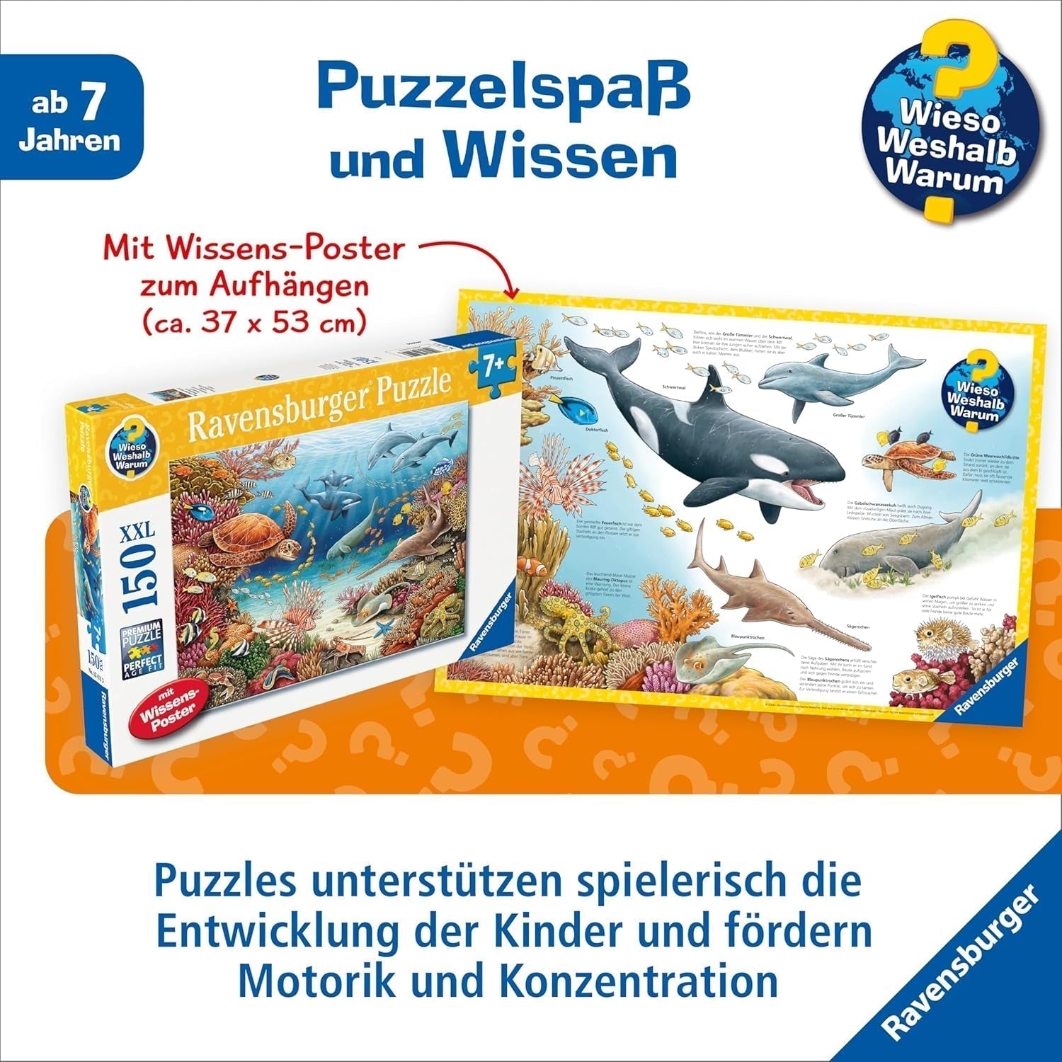 Ravensburger børnepuslespil 13411 - Havdyr på koralrevet - Hvorfor? Hvorfor? Hvorfor? Puslespil 150 brikker XXL + vidensplakat, til børn fra 7 år Puslespil Naty Shop