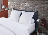 Anti-seng mide og væggelus pude 60 X 60 cm Medium Comfort Multi Protect pude Blød og beskyttende maskinvaskbar ved 40°C Naty Shop Standard puder Standard titel
