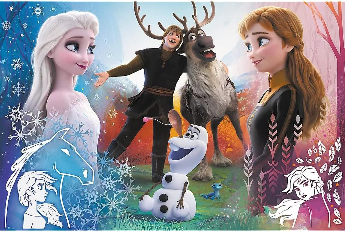 Trefl, Puslespil, Magical Time, Disney Frozen 2, 300 stykker, Til børn over 8 år Puzzle Naty Shop