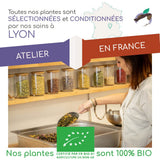 Sencha grøn te BIO 200G - - Naturlig grøn te