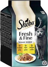 Sheba-portionsposer våd kattefoder, frisk og fin kalkun- og kyllinggelé Multipakke, 6x6x50 g - Kalkun- og kyllinggelé af høj kvalitet til kattemad