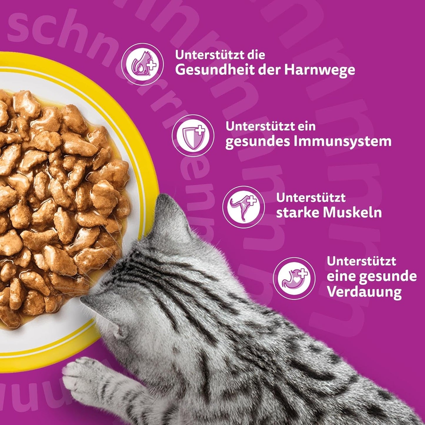 Whiskas 7+ vådfoder til katte Udvalg af fjerkræ i sauce 24 x 85 g (2 pakker) - Højkvalitets vådfoder fra 7 år i 48 portionsposer
