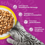 Whiskas 7+ vådfoder til katte Udvalg af fjerkræ i sauce 24 x 85 g (2 pakker) - Højkvalitets vådfoder fra 7 år i 48 portionsposer