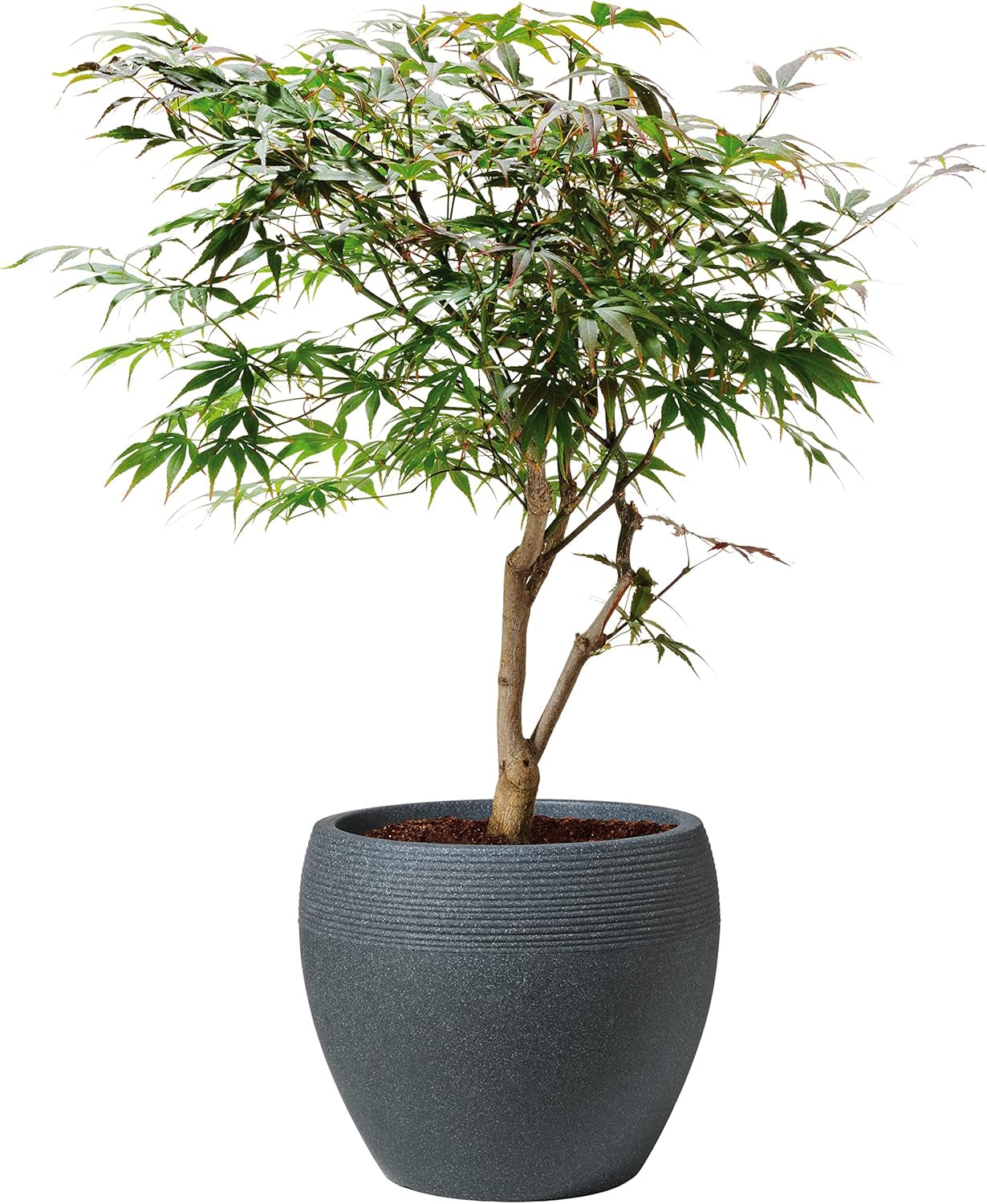 Scheurich Lineo, plastikkasse, sort granit, diameter 30 cm, højde 24,1 cm, volumen 11 l.