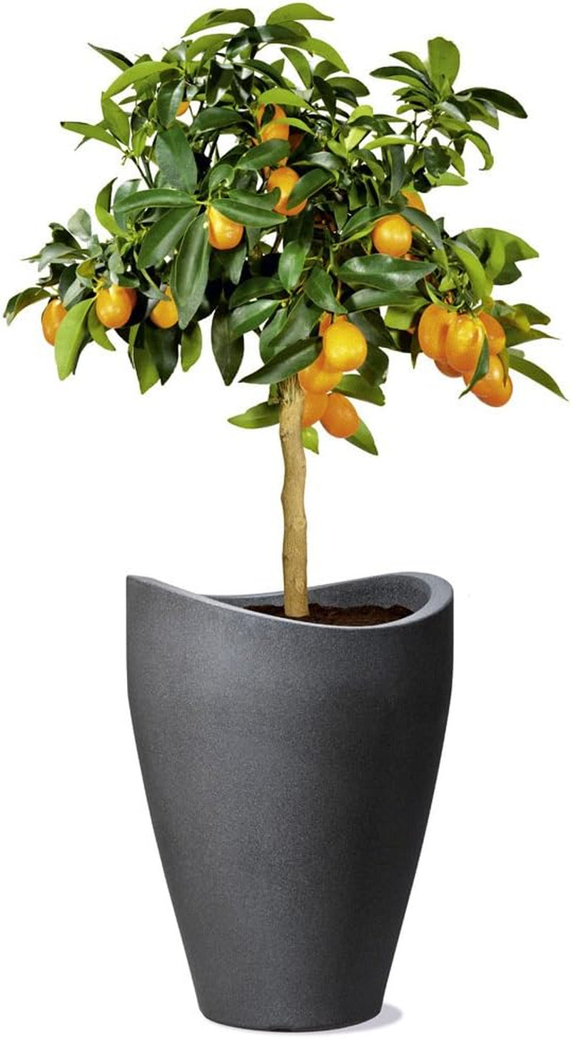 Scheurich Wave Globe High, høj plastbeholder, sort granit, diameter 29,8 cm, højde 40 cm, volumen 6 l.