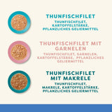 Applaws 100 % naturlig våd voksen kattefoder Assorteret fisk i sauce Multipakke 12 æsker x 70 g