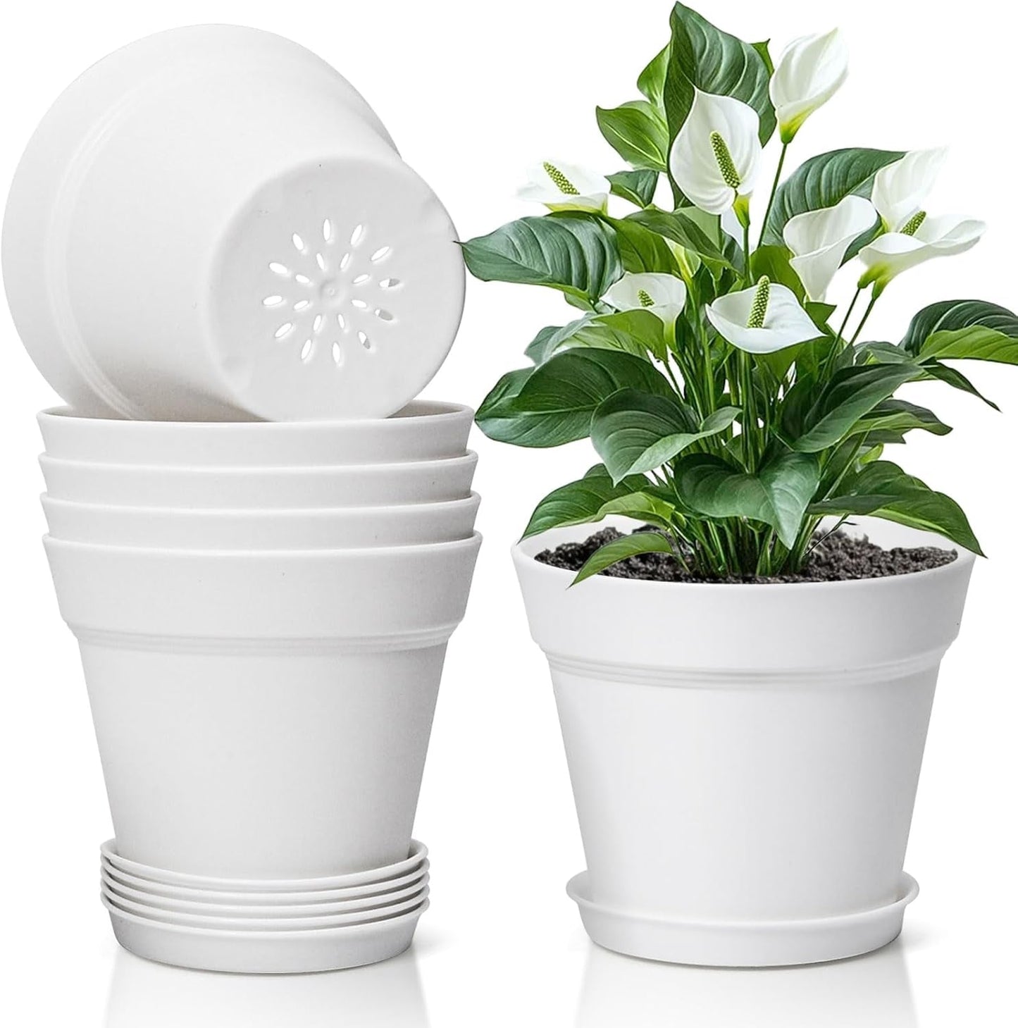 T4U 16 cm plast urtepotte med underkop, sæt med 6 plastik urtepotter med flere drænhuller, rund potte til indendørs og altan sukkulente planter, kaktusser, hvid