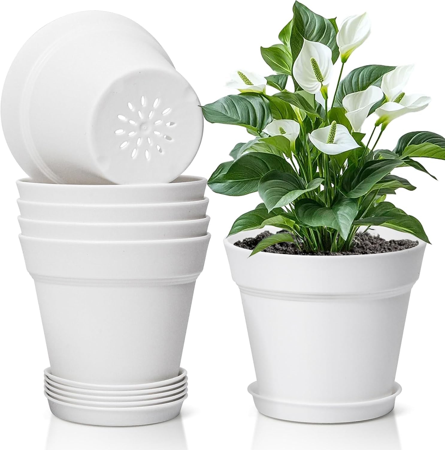 T4U 16 cm plast urtepotte med underkop, sæt med 6 plastik urtepotter med flere drænhuller, rund potte til indendørs og altan sukkulente planter, kaktusser, hvid