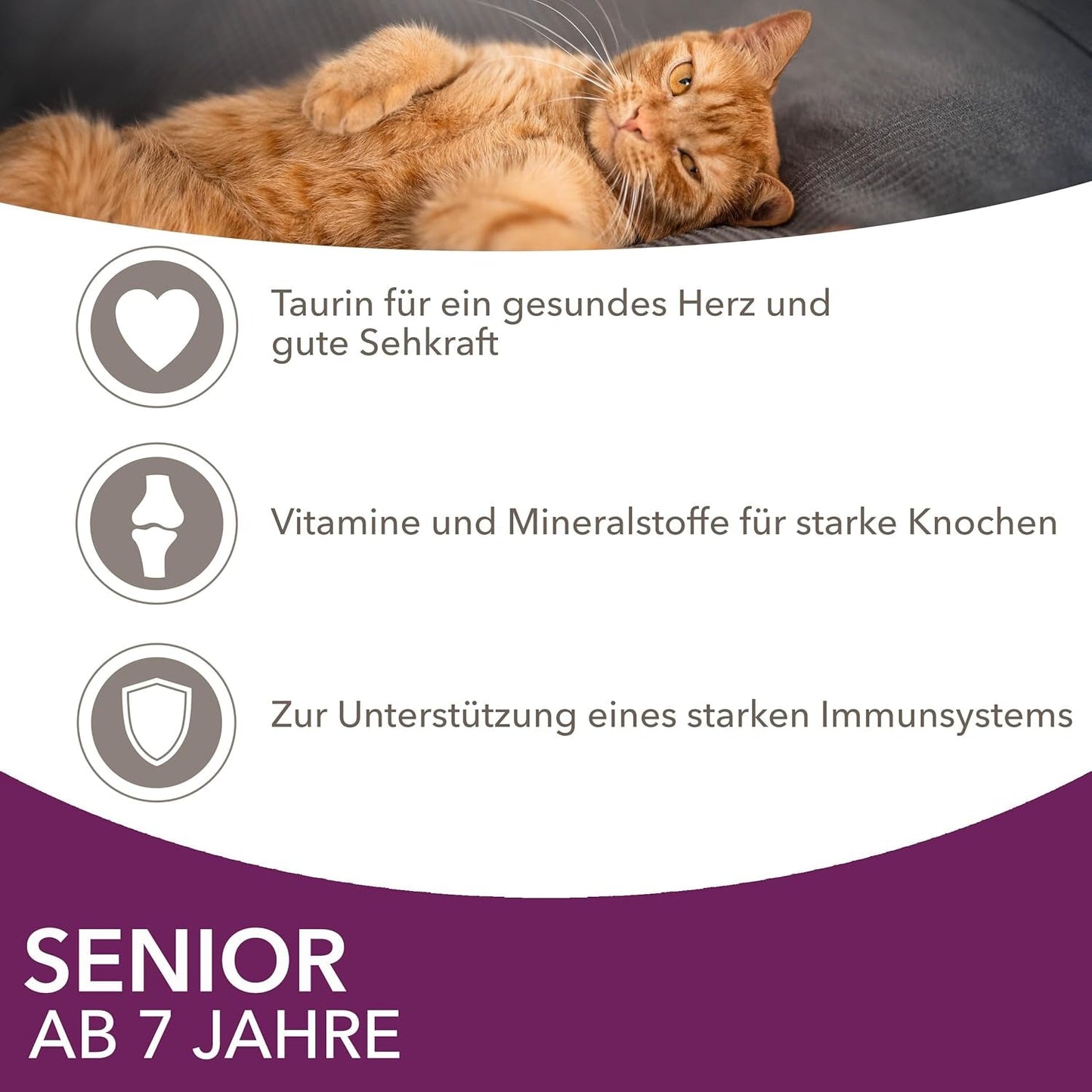 IAMS Delights Vådfoder til seniorkatte - Multipak med kylling og fisk i sauce, højkvalitets vådfoder til katte ældre end 7 år, 12 x 85g