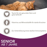 IAMS Delights Vådfoder til seniorkatte - Multipak med kylling og fisk i sauce, højkvalitets vådfoder til katte ældre end 7 år, 12 x 85g
