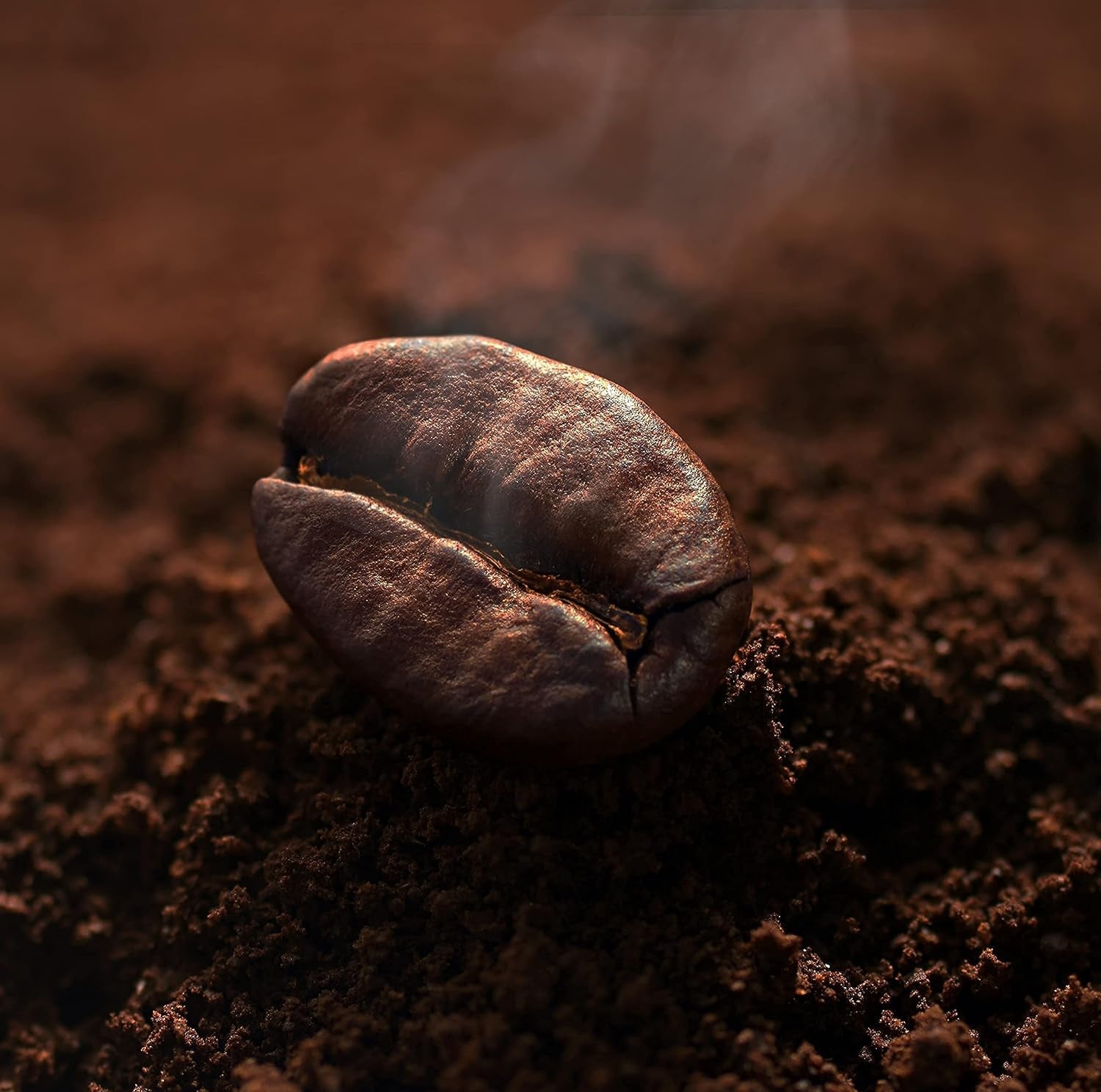 C&T "Ragnarök Coffee" nordischer Röst-Kaffee | 1000g Bohne gås | als Espresso & Cafe Crema trinkbar | kräftig + würzig + aromatisk | 100% naturlig med koffein