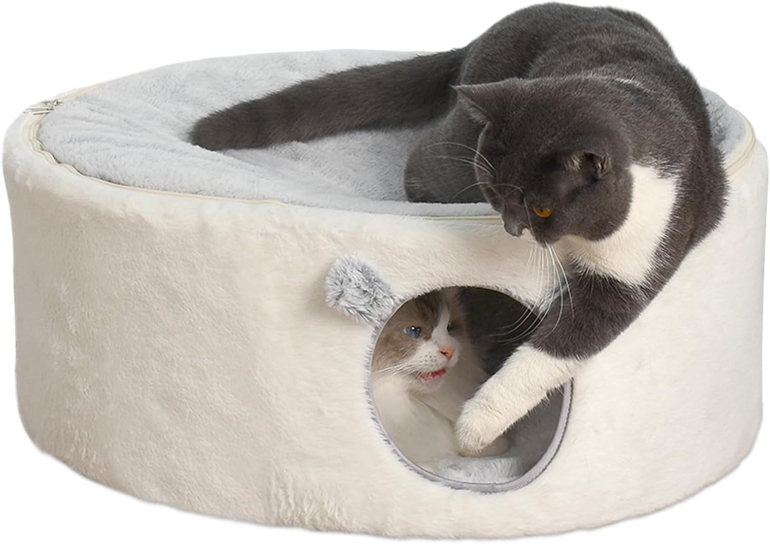 Tæpper og møbler, kæledyr, huler og huse, katte, senge til katte, katte - senge, madrasser