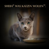 SHEBA-fileter Voksen Katzenfutter i Sauce med Kylling, Hochseefisch og Garnelen 16 x 60 g Shell