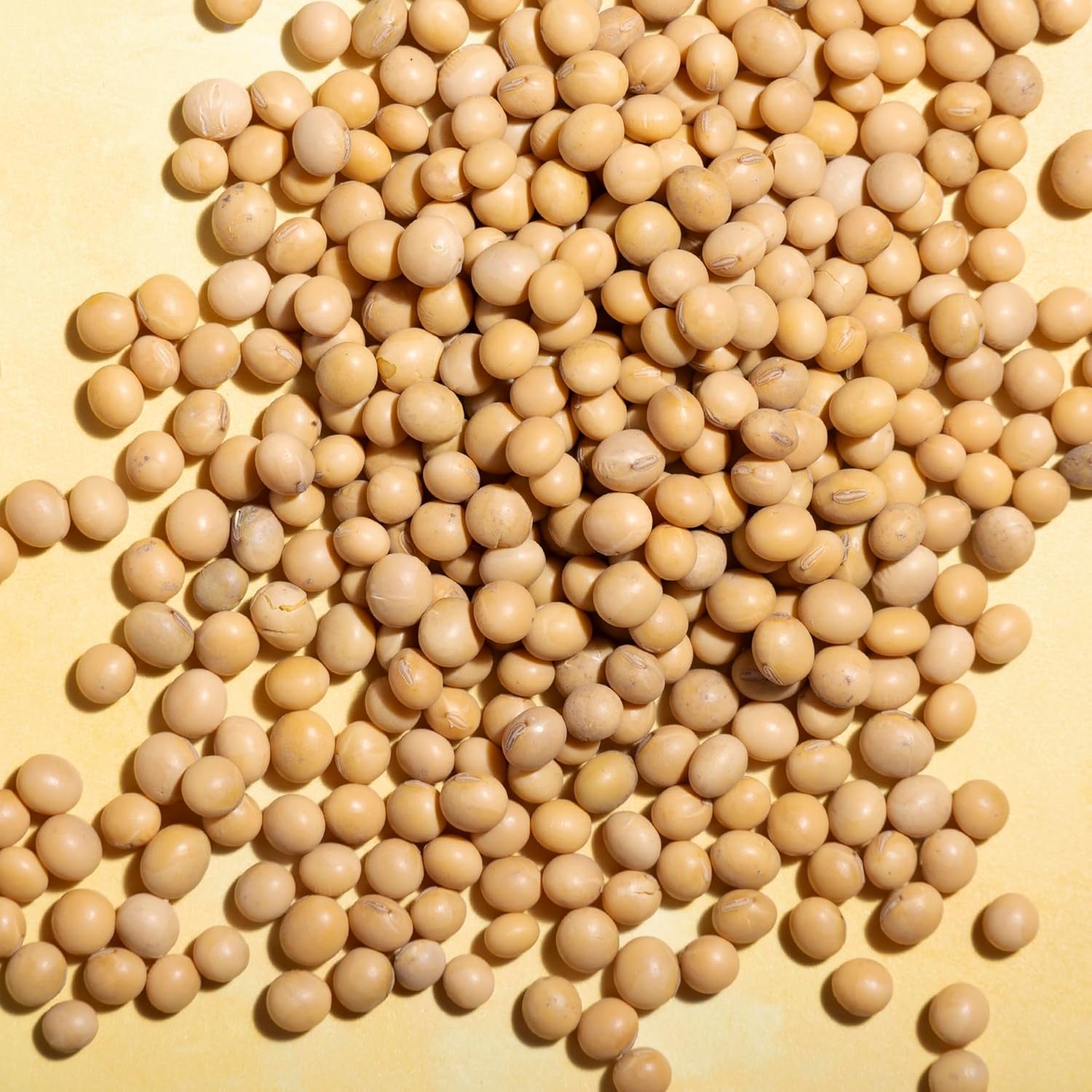 Wholefood jordsoja - ikke-GMO - naturlig - vegansk - mælkefri - uden tilsat sukker 1 kg