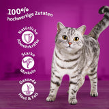 Whiskas 1+ vådfoder til katte med kylling i gelé, 28x85g (1 pakke) - Højkvalitets vådfoder til voksne katte i poser med 28 portioner