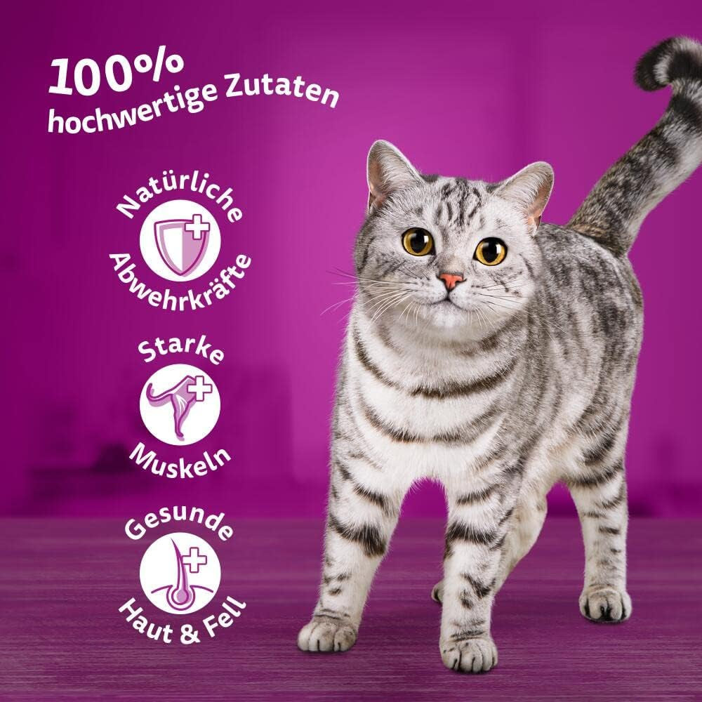 Whiskas 1+ vådfoder til katte med kylling i gelé, 28x85g (1 pakke) - Højkvalitets vådfoder til voksne katte i poser med 28 portioner