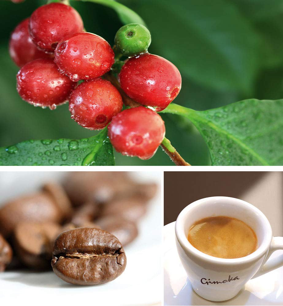 Gimoka - Kompatibel til Nescafè - Dolce Gusto - 64 Kapsel - Cremet smag - Intensität 10 - Made In Italy - 4 Packungen Zu 16 Kapseln