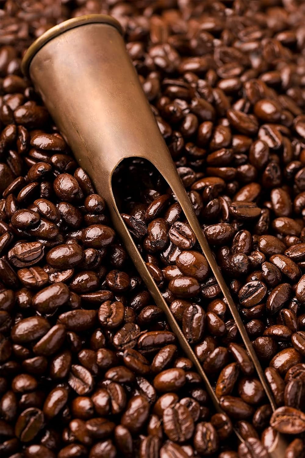 Caffè Barbera - Kaffesæt med 3 blandinger - 1870