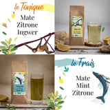 ORIGEENS BIO MATE TE GAVESÆT X4 I Yerba Mate Bio 4X80G I Yerba Mate tesæt, gaveidé