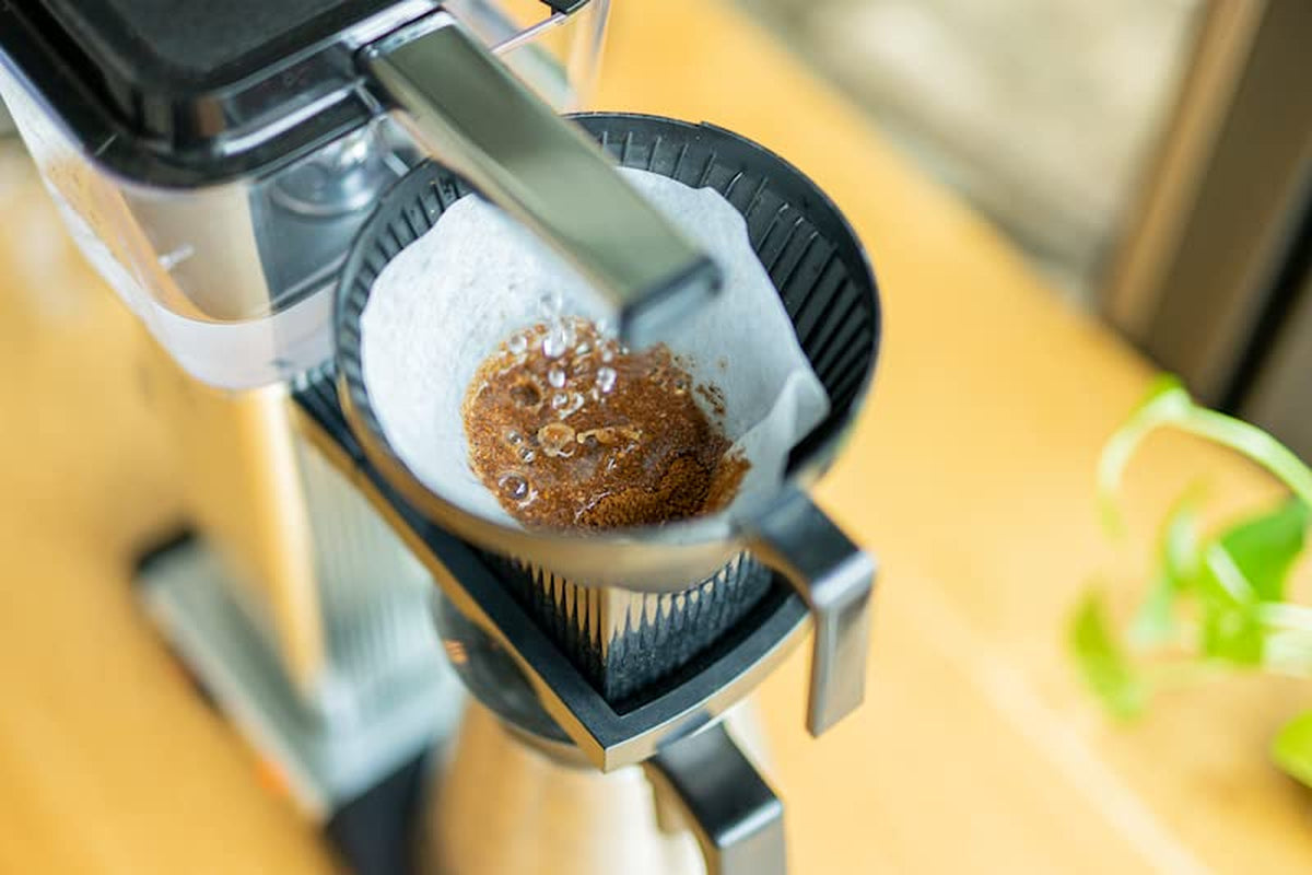 Spring Bloom Filter | 250 g fuldkorn | fair og bæredygtig | friskstegt | kaffebønner 100% Arabica | speciel kaffe | 19 gram Cafe Roastery…