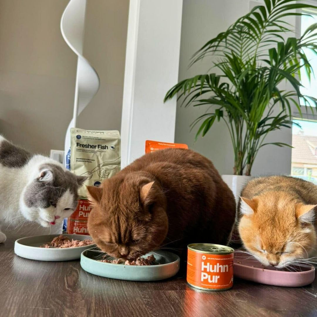 The Better Cat - Kornfrit vådfoder med ekstra højt kødindhold - Premium kornfrit og sukkerfrit kattefoder (200 g, kylling)