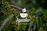 Iguaque kaffe 1000gr | Premium Kaffee ganze Bohnen 100% Arabica fra Colombia | Familienbetrieb - Single Origin Kaffeebohnen - Nachhaltige eigene Plantage im Hochland - Kräftiges Aroma