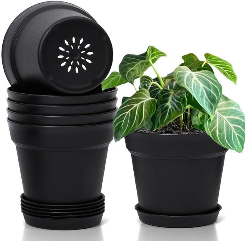 T4U 16 cm plast urtepotte med underkop, sæt med 6 plastik urtepotter med flere drænhuller, rund potte til indendørs og altan sukkulente planter, kaktusser, hvid
