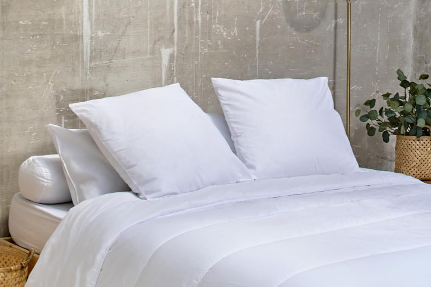 Bleu Câlin Home Collection Sæt med 4 puder Cliniguard Anti-Mite White 60X60 Cm Standard puder Naty Shop