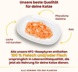 Almo Nature HFC Jelly - Vådfoder til voksne katte - Laks og gulerødder - Menneskelig kvalitet, glutenfri - 6 x 70g